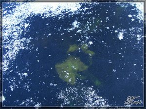 Подводная жизнь