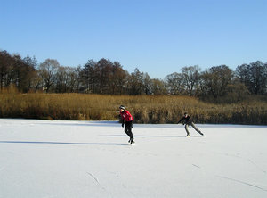 13.12.4.jpg