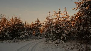 winter1.jpg