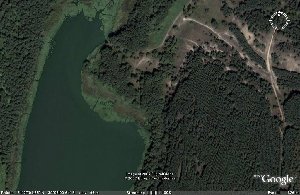 северная часть Погоново