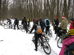 IMG_2506.jpg
