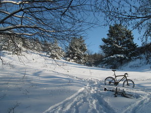 IMG_3487.jpg