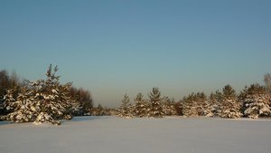 05_1.jpg