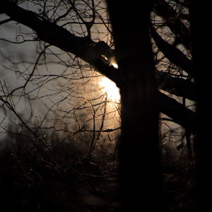 IMG_8431.JPG