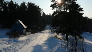 06_2.jpg