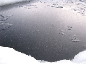 IMG_2639.jpg