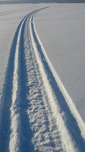 sled.jpg