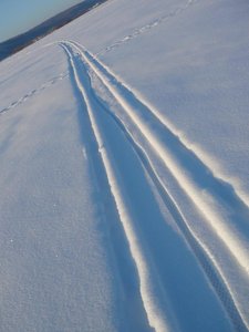 sled2.jpg