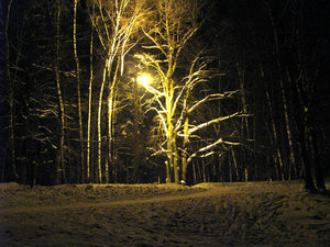 IMG_2656.jpg