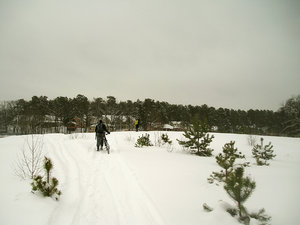 31.01.10 (17).jpg