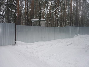 fence.jpg