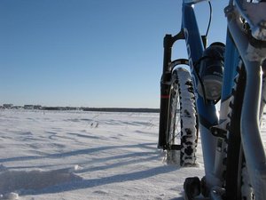 IMG_0552.jpg