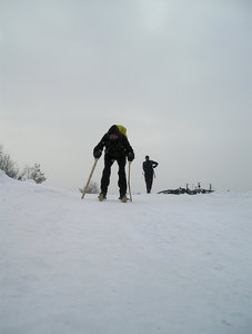лыжник