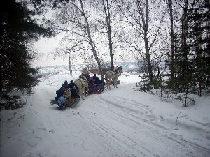 партизанен   %0       =)))))))))