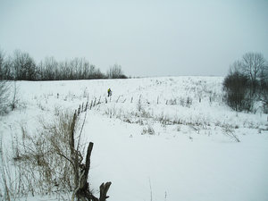 P1010002.JPG