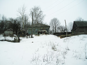 P1010020.JPG