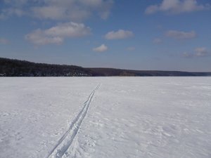 Ленивый народ стал - из города миллионника лыжню приходится торить каждый раз.