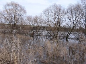 IMG_4793.JPG
