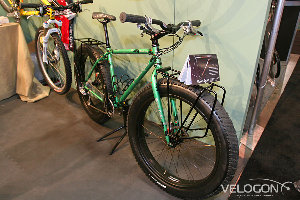 IMG_4986.jpg