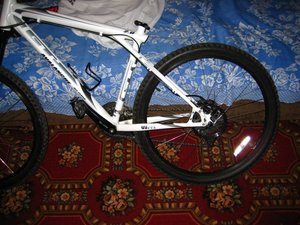 IMG_3451.jpg
