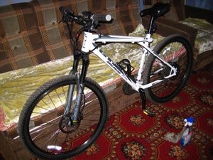 IMG_3596.jpg