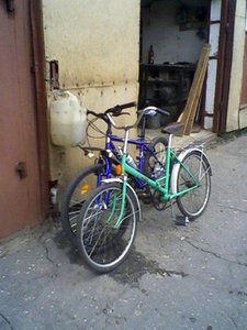 x_746259ae.jpg