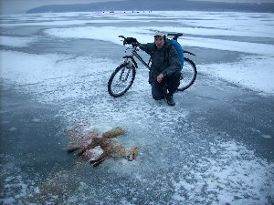 Жертва