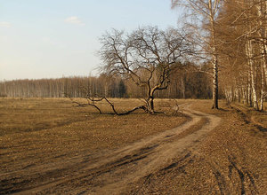 P1010006 для форума.jpg