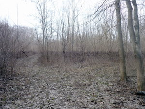Здесь видно, на каком уровне стояла вода