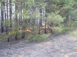 fire1.jpg