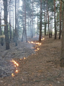 fire2.jpg