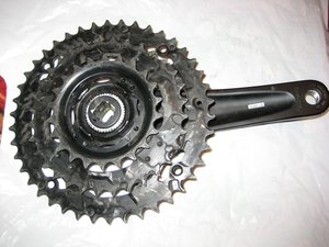 IMG_4936.JPG