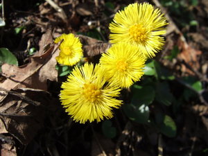 DSCF8221.JPG