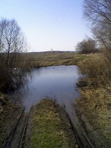 x_7cec0633.jpg