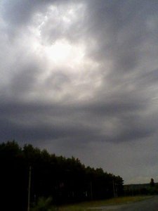 x_052f54e6.jpg
