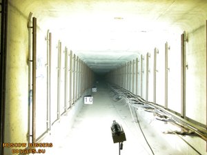Polarion Abyss D.jpg