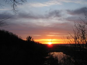 IMG_4385.JPG