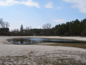 P4240101для форума.jpg