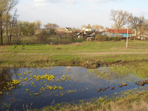 P4240114для форума.jpg