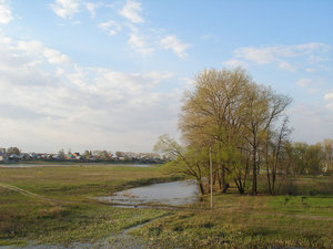P4240118для форума.jpg