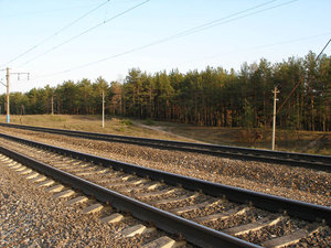 P4240120для форума.jpg