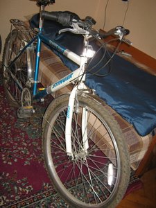 IMG_3506.JPG
