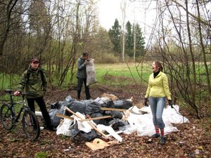 В поисках витаминов