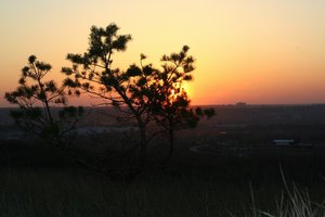 IMG_0491.jpg