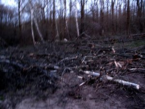 IMG_0390.jpg