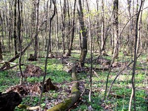 IMG_0395.jpg