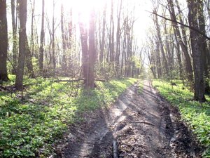 IMG_0396.jpg
