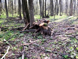 IMG_0399.jpg