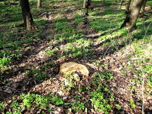 IMG_0400.jpg
