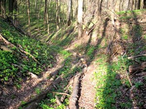 IMG_0402.jpg